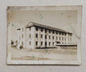 1948年复旦大学 民国老照片