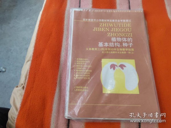 义务教育三四年制初中生物教学挂图配人教社版教科书生物第一册上-植物体的基本结构种子9幅全