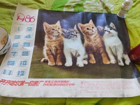 1986年月历一张