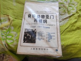 初级中学课本动物学教学挂图《脊椎动物亚门两栖纲》全14幅