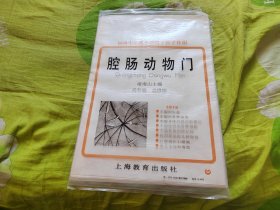 10 初级中学课本动物学教学挂图 腔肠动物门（全8幅）