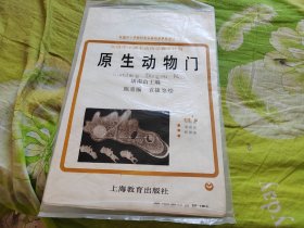 初级中学课本动物学教学挂图：原生动物门（全套3张）