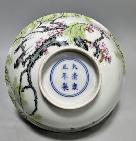 大清雍正年制，珐琅彩杏林春图碗，