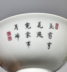 大清雍正年制，珐琅彩杏林春图碗，