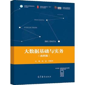 大数据基础与实务（商科版） 练金 苏重来 高等教育出版社 9787040561982