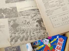 中药通报1956年第2、4、5、6期