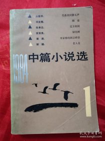 1984中篇小说选中篇小说选（第1辑） 一版一印 内有丛维熙邓友梅张承志张贤亮潮清矫健的作品 （在新书柜）