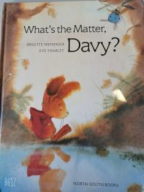 1998年出版 What's the Matter Davy? 1*
