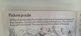 1990' Usborne First Nature : Creepy Crawlies 1