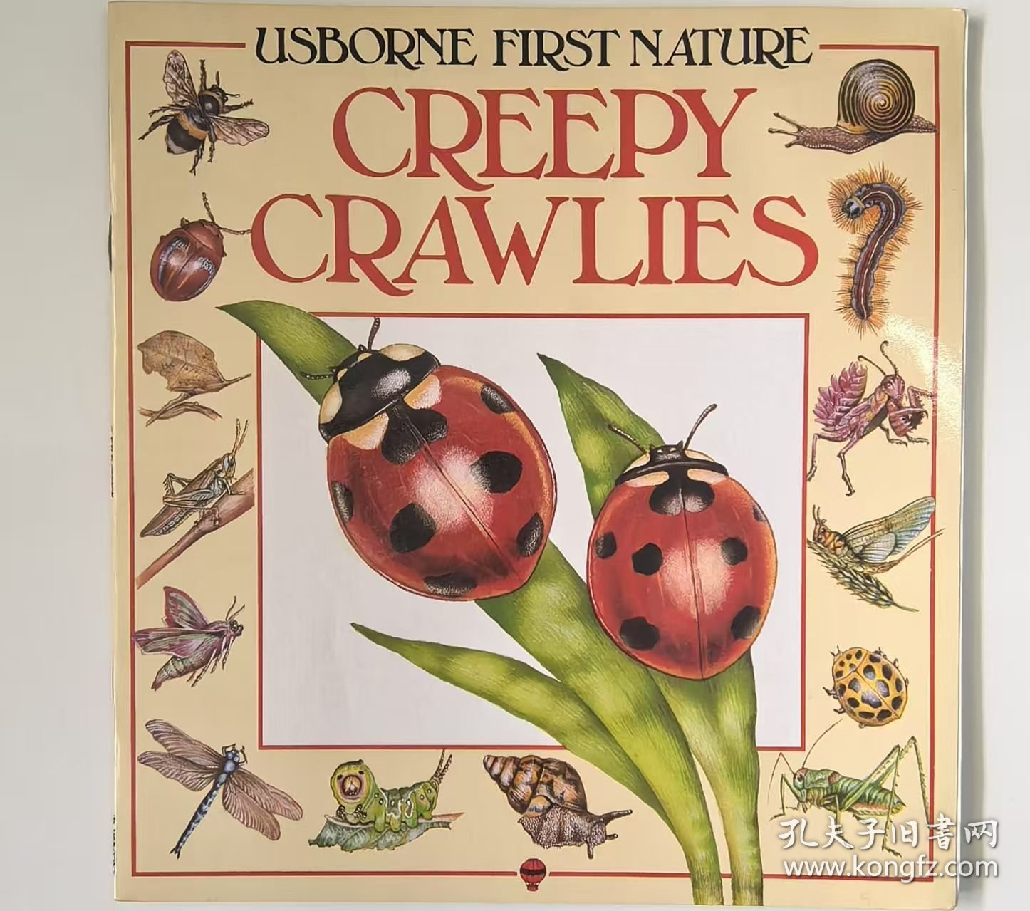 1990' Usborne First Nature : Creepy Crawlies 1