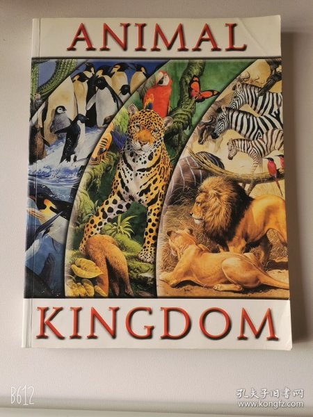 2004'初版 Animal Kingdom 6
