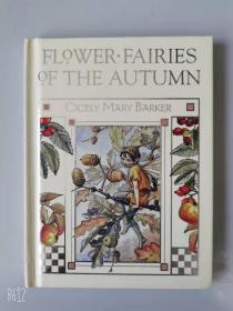 2002年出版 小精装 Flower Fairies of the Autumn 1*