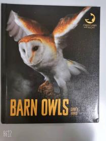 Barn Owls (Creatures of the Night) 1