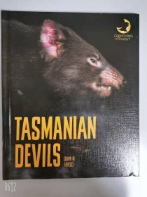 Tasmanian Devils (Creatures of the Night) 5*