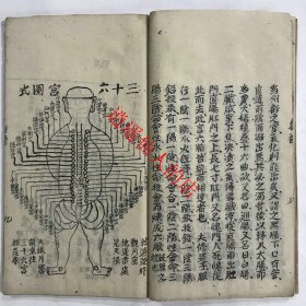 【提供资料信息服务】清代或者民国的中医写本 《三十六宫 七十二穴 内景图》中医书