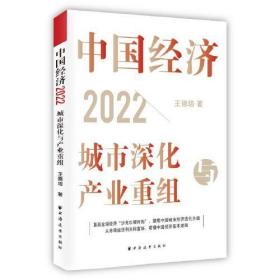 中国经济2022：城市深化与产业重组（直面全球经济，聚焦中国城市经济迭代升级，从市场经济到共同富裕，看懂中国经济基本逻辑！）