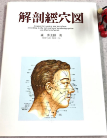 《解剖经穴图》 森秀太郎 著，医道的日本社，昭和56年，B5版65页 日文 医学