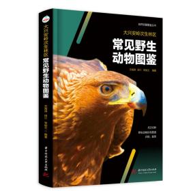 大兴安岭次生林区常见野生动物图鉴