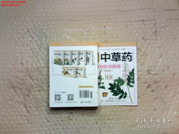 精致中草药工具丛书：常用中草药识别应用图谱（手绘本）