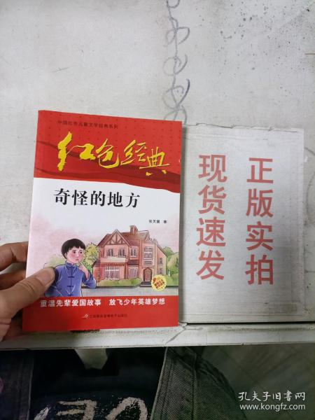 红色经典—奇怪的地方 中国红色儿童文学经典系列 小学生四五六年级课外书 少年励志红色经典书籍故事书 革命传统教育读本爱国