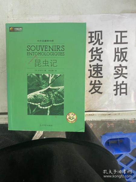 六角丛书·中外名著榜中榜：昆虫记