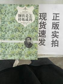 钢铁是怎样炼成的（精装插图典藏本）