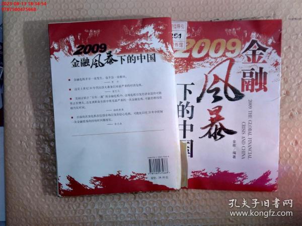 2009金融风暴下的中国