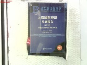 上海浦东经济发展报告2019高质量发展和高水平改革开放（2019版）/浦东新区蓝皮书