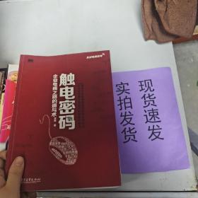 实战电商系列·触电密码：企业电商之路的道与术（全彩）