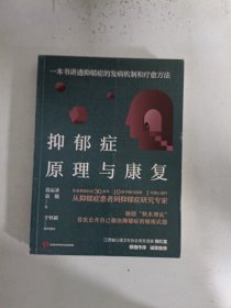 抑郁症原理与康复：一本书讲透抑郁症的发病机制和疗愈方法