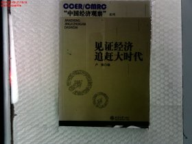 CCER/CMRC“中国经济观察”系列：见证经济追赶大时代