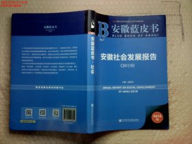 安徽蓝皮书：安徽社会发展报告（2019）