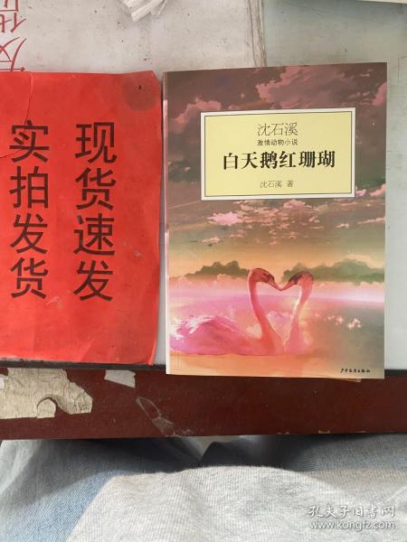 白天鹅红珊瑚：沈石溪激情动物小说