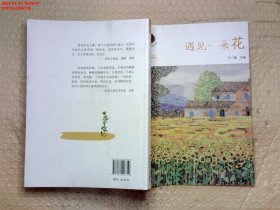 冰心奖小作家书系 冰心作文奖10周年纪念版：遇见一朵花