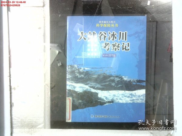 大峡谷冰川考察记——雅鲁藏布大峡谷科学探险丛书