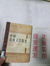 现货~中国比较文学简史