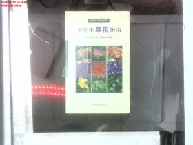 多年生草花指南