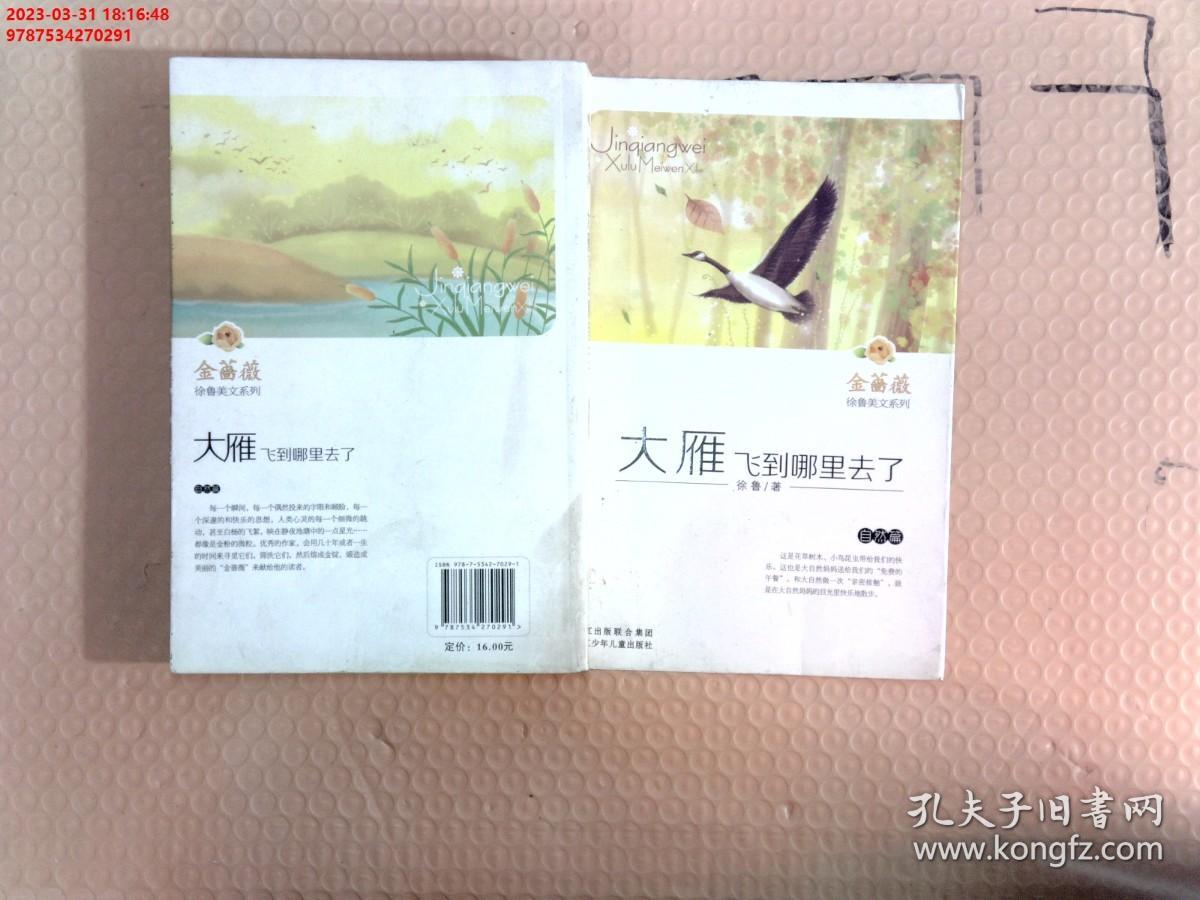 【现货速发】金蔷薇·徐鲁美文系列：大雁飞到哪里去了