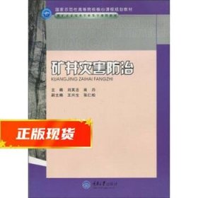 国家示范性高等院校核心课程规划教材·煤矿开采技术专业及专业群