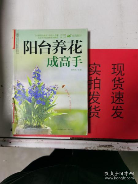 阳台养花成高手