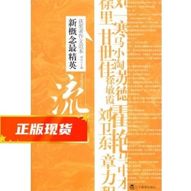 流光（新概念-精英获奖者作文范本）（特惠品）-