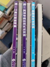 《现货》【正版套装】    新电商精英系列教程 （全6册）  9787500162957