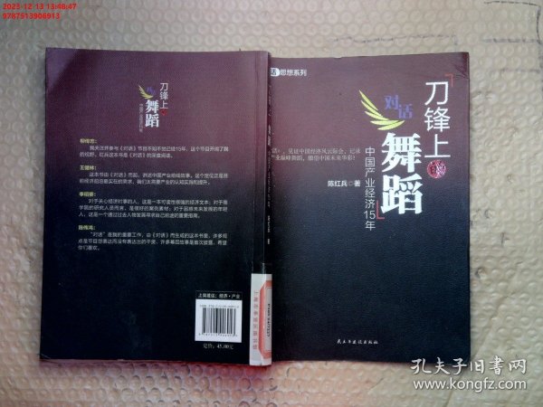 刀锋上的舞蹈：中国产业经济15年