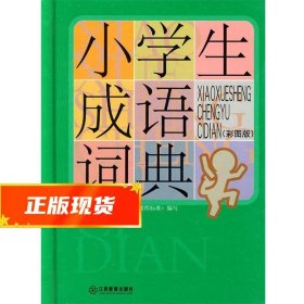 小学生成语词典（彩图版）