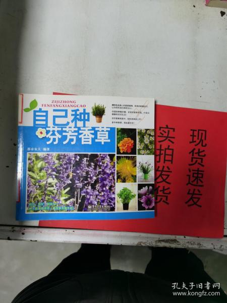 自己种芬芳香草