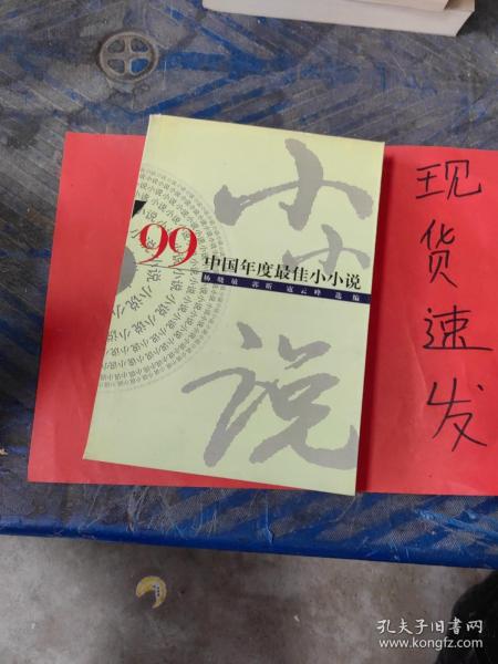 ’99中国年度最佳小小说