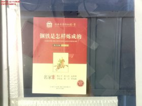 钢铁是怎样炼成的（智听版无障碍阅读）/经典名著轻松读+考