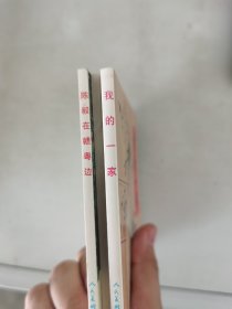 【正版套装】  精品连环画：革命斗争故事5   共3册   中国支队   陈毅在赣粤边   我的一家    9787102055466