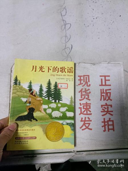 启发精选纽伯瑞大奖少年小说：月光下的歌谣