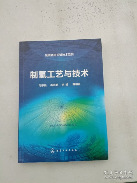 氢能利用关键技术系列--制氢工艺与技术